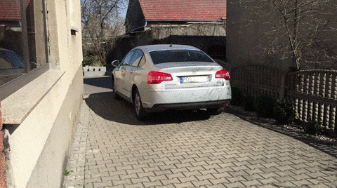 NlQy4.gif