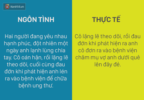 nt8.jpg