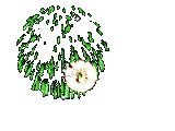 phaobong1.gif