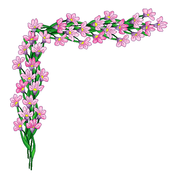 pink-border-flower-clipart.gif