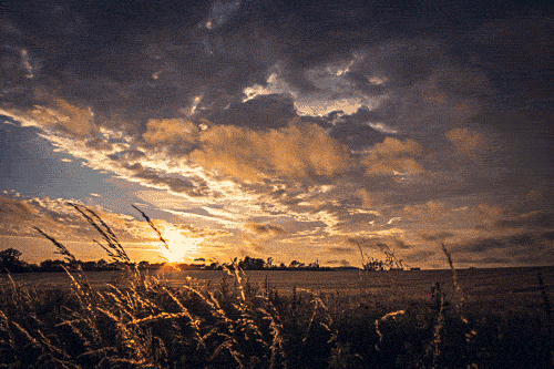 post-66130-Cloud-watching-sped-up-time-la-UPu7[1].gif