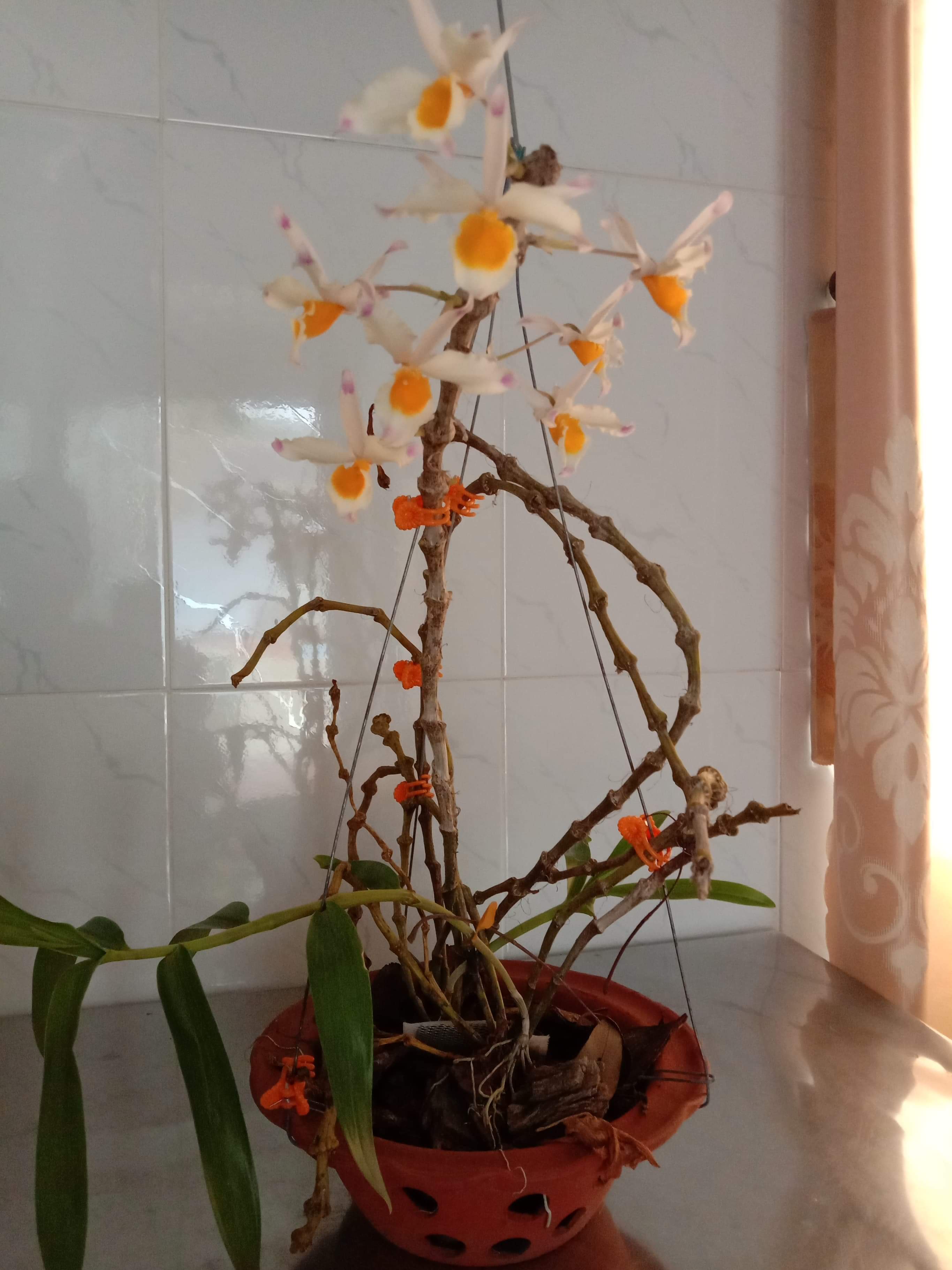received_2741091912626983.jpeg