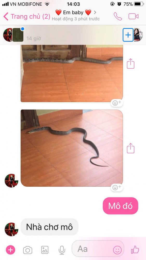 received_752263948298275.jpeg