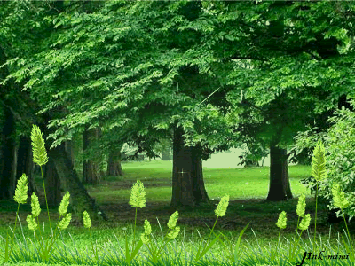 S4%252520%25252836%252529%5B1%5D[1].gif