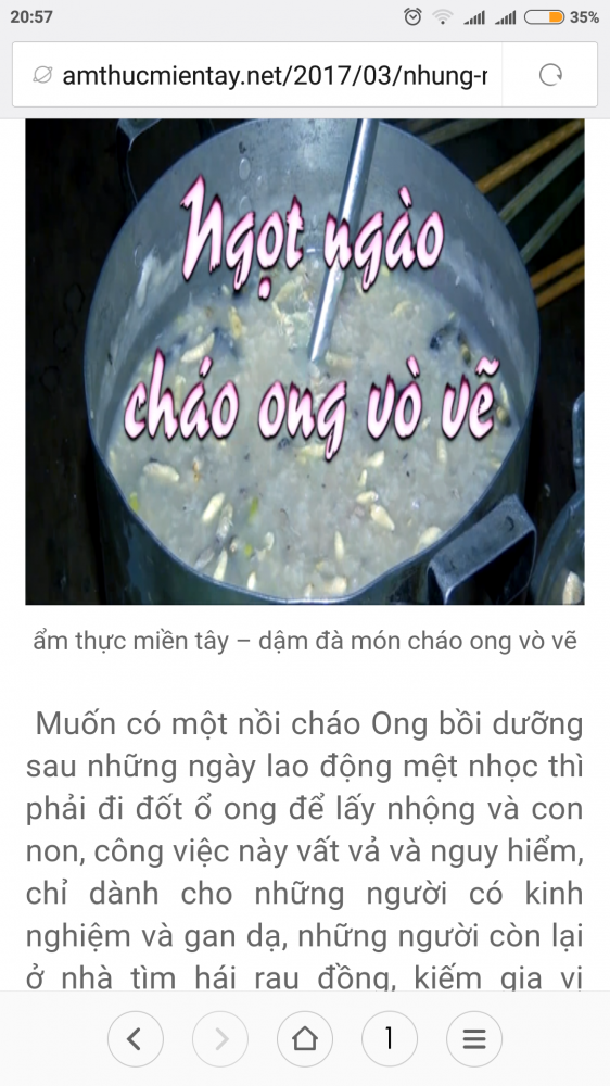 Screenshot_2017-08-25-20-57-53-209_com.android.browser.png