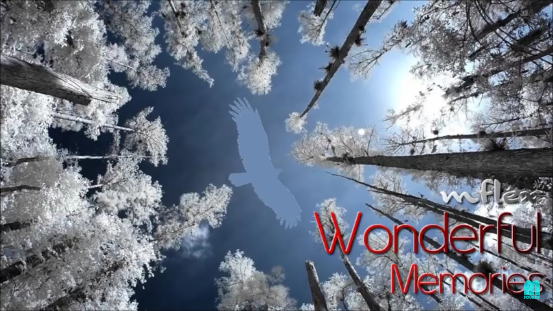 Screenshot_20191028-105240_YouTube.jpg