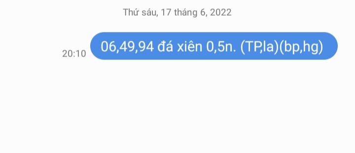 Screenshot_20220617-201123_Messages.jpg