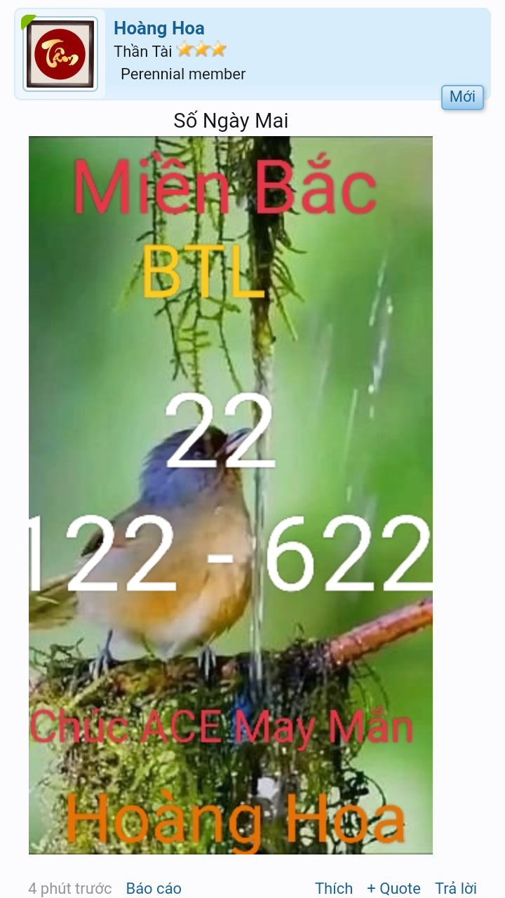 Screenshot_20221019-190740~2.png
