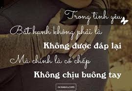 tải xuống.jpeg.jpg