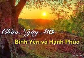 tải xuống.jpg