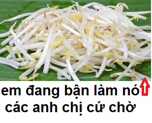 tải xuống.jpg