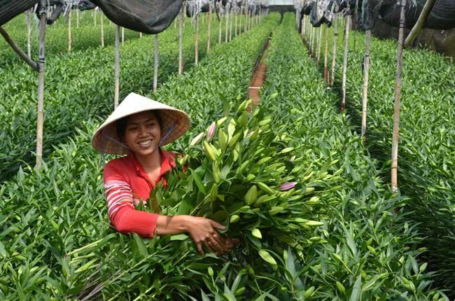 thai-phien-flower-village-vietnam-visa-easy1[1].jpg