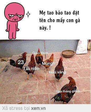 thang-nua-tet-roi-ae-ei-xoa-de-1546671694-650.jpg