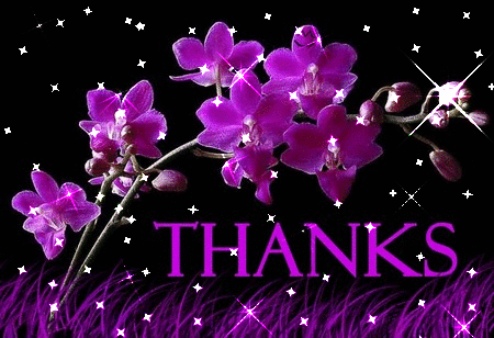 thank-you46gif.gif