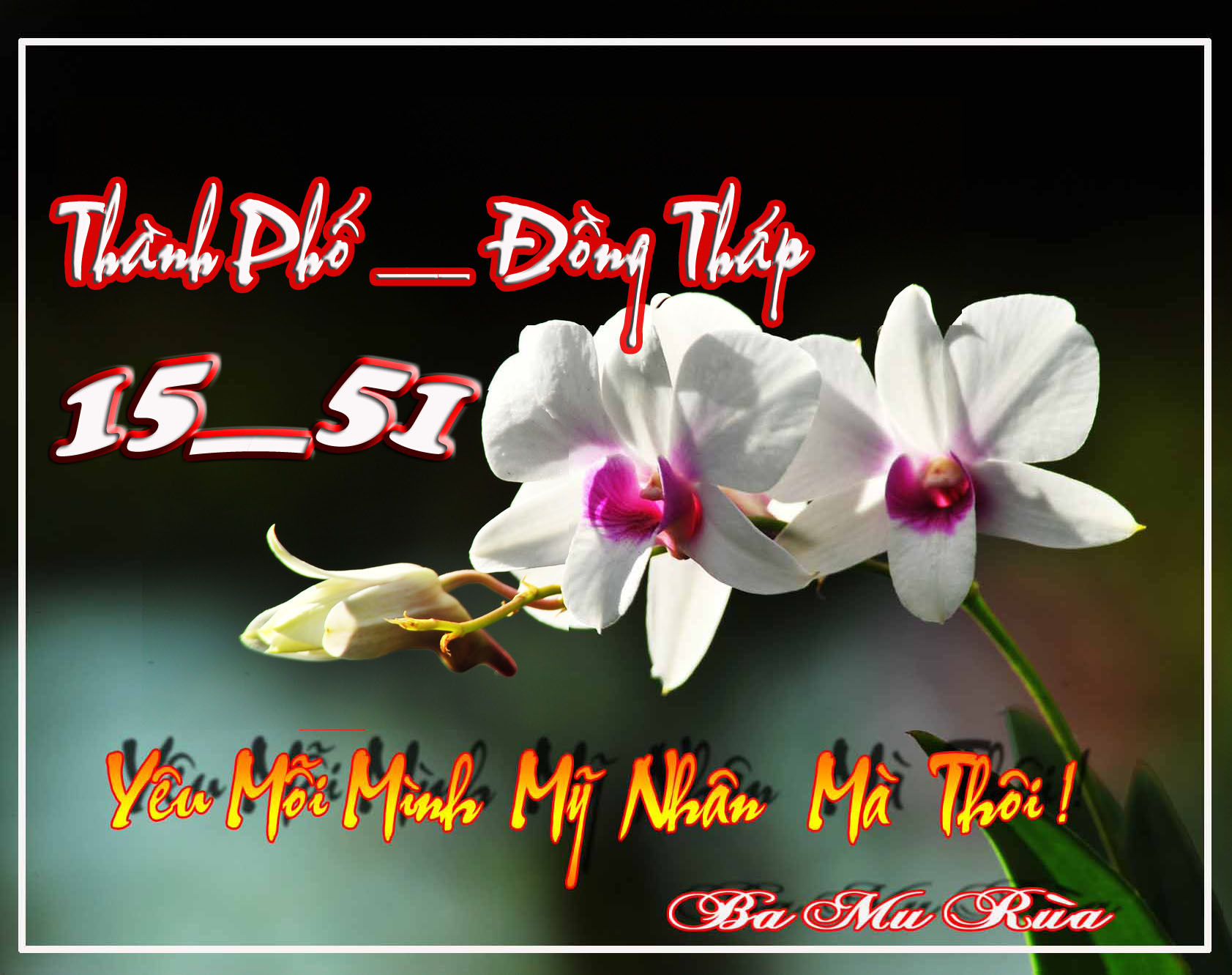 thu hai copy.jpg
