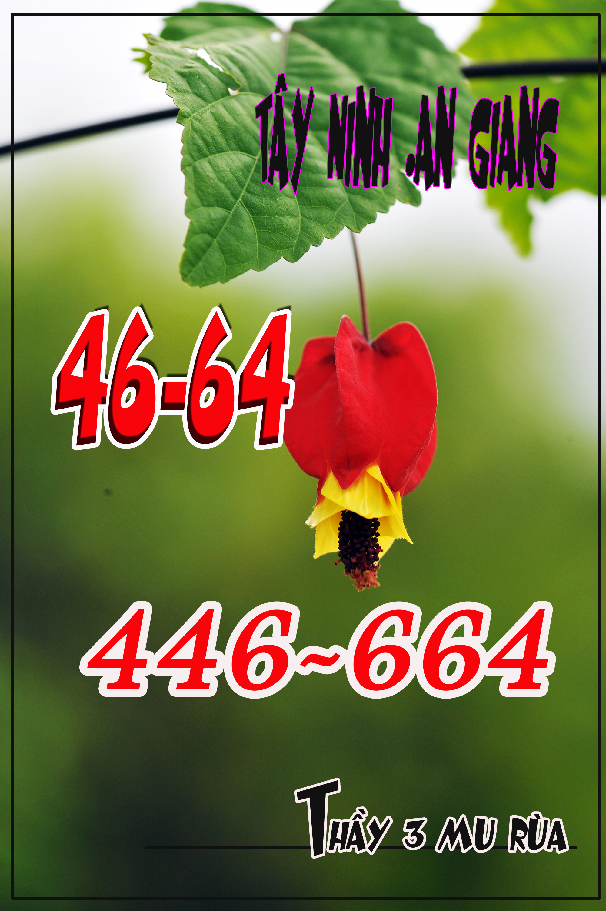 thu nam TN AG copy.jpg