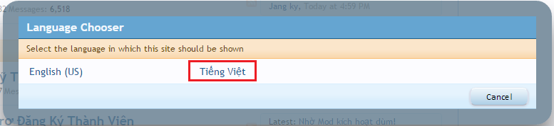 Tiếng VN1.png