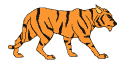 Tiger-02-june.gif