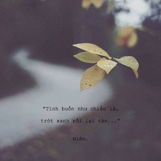 tinh-yeu-buon-hinh-anh.jpg