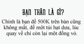 top-nhung-cau-noi-hay-ve-tinh-ban-chuan-khong-can-chinh-12-351x185.jpg