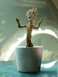 tumblr_ndoa0sNfux1r5kl7zo1_500.gif