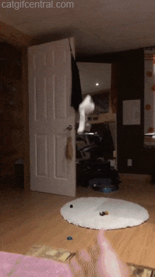 tumblr_padcwf8iED1uuyy36o1_250.gif