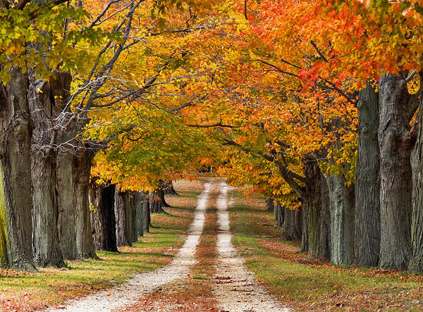 vanishing-point-photos-9[1].jpg