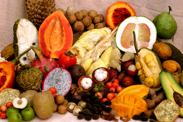 vietnam-tropical-fruits[1].jpg