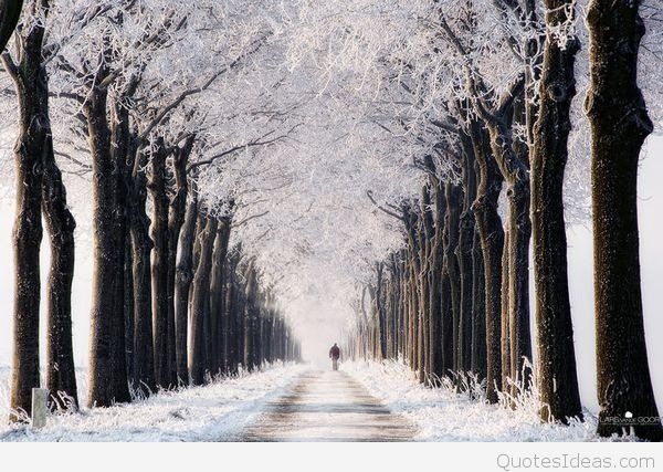 Winter-Photos-5[1].jpg