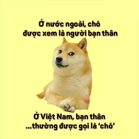 yNVz5yK.jpg