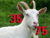 con%20de copy.jpg