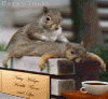massage%201.gif