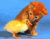 spam21.gif