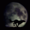 animated_avatar33.gif
