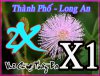 thnh pho long an.JPG