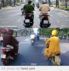xe số đẹp.jpg
