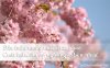 http___loichuchaynhat_net_wp-content_uploads_2016_03_57fb288f30484db92f66ea5126c10787.jpg