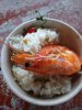 IMG_20171127_152548.jpg
