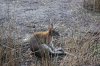 IMG_20171130_064207.jpg