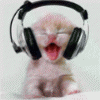 IMG_5450.GIF