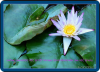 ins33_iPiccy.png