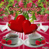 IMG_8997.GIF