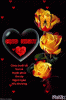 IMG_9345.GIF