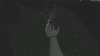 IMG_9752.GIF