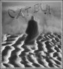 catbui.jpg