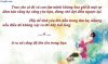 59d46_nhung_cham_ngon_bang_hinh_anh_hay_doc_y_nghia20130121100606.jpg