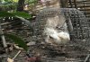 _20180814_113032.JPG