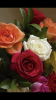 ABF8B029-2590-4554-9DE2-0D267C0C6EC7.png