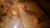 Screenshot_20190121-132937_YouTube.jpg