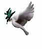 1446877_preview.gif